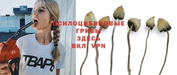 дживик Алексин