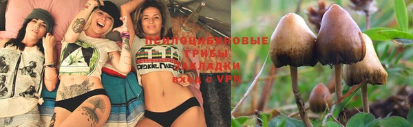 тгк Алексеевка