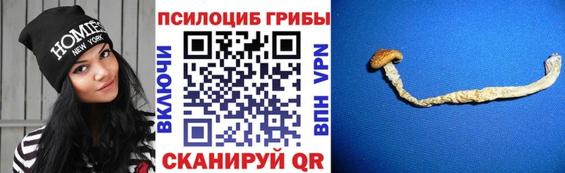 наркошоп  Петрозаводск  Галлюциногенные грибы GOLDEN TEACHER 