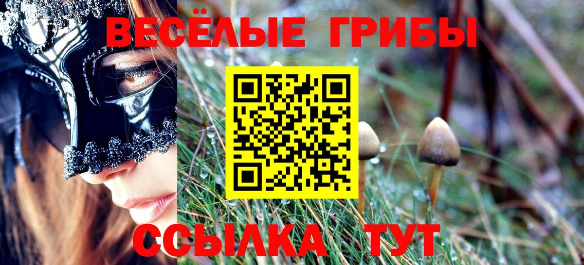Галлюциногенные грибы MAGIC MUSHROOMS Петрозаводск